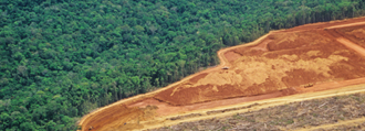 Aerial photo of clear cutting in Amazon rainforest