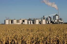 grain processing plant in a field