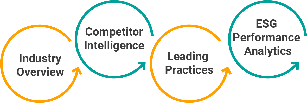 Process for conducting Sustainalytics ESG Performance Analytics services