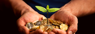 Tree sapling emerging from handful of coins