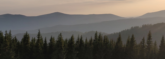 Landscape of treetops and mountains in the background